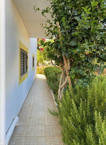 Alvor Mountain View Villa With Private Pool