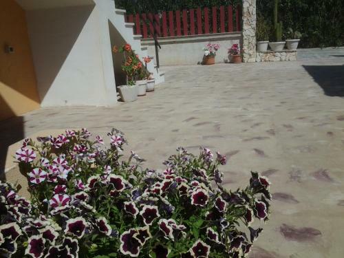 Bed & Breakfast Kamarina Land