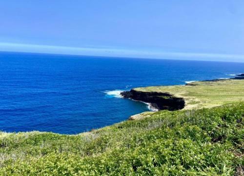 Apartamento Black Sands Beach Condo With Full Kitchen