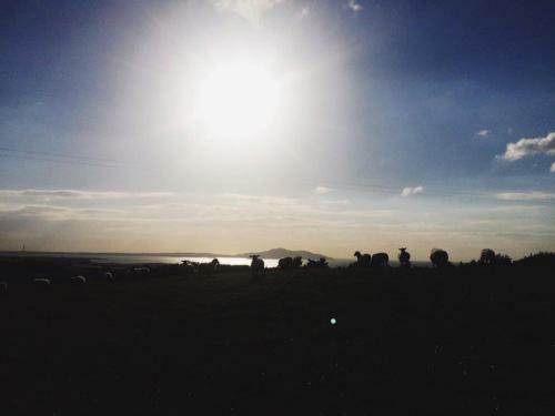 20 'vega' Bell Tent Glamping Anglesey