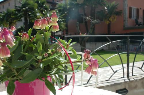 Hostal Giardino Alla Torre Room&breakfast
