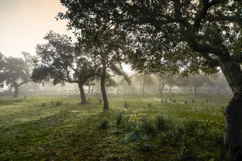 Hotel Su Baione
