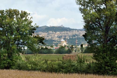 Agroturismo Agriturismo Bellarosa