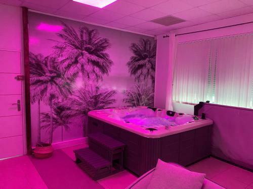 Apartamento Superbe Appartement Avec Jacuzzy