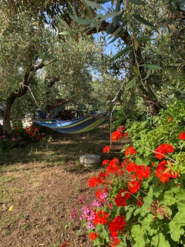 Elouda Hub,one Space Habitat, 100m From The Beach