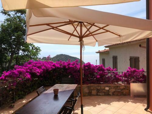 Apartamento Rosa Dei Venti