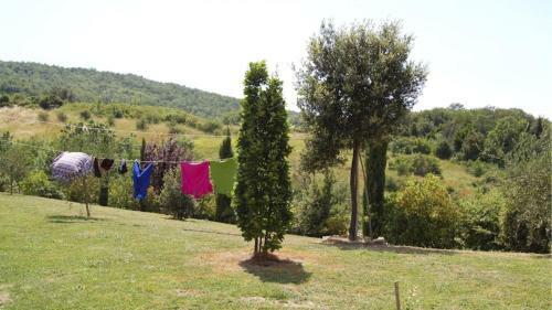 Villa Il Casino
