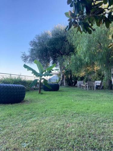 Hostal La Marfra Affittacamere