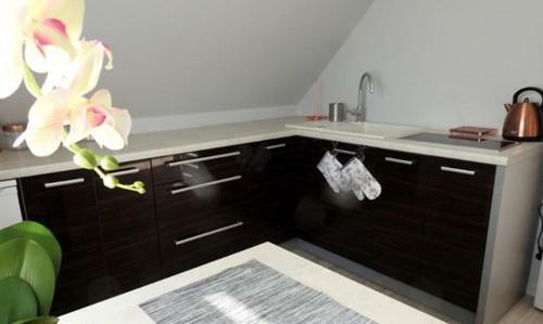 Apartamento Noclegi U Pioruna