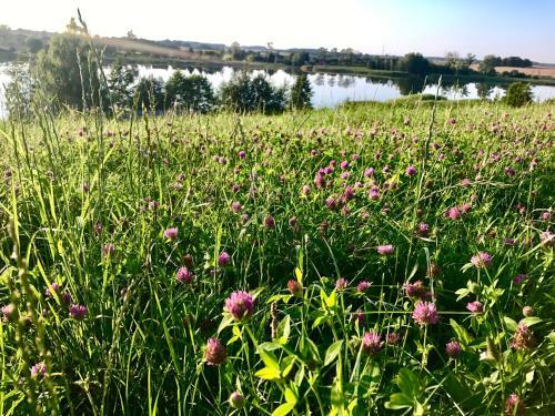 Agroturystyka Nad Jeziorem Silickim Ili?scy