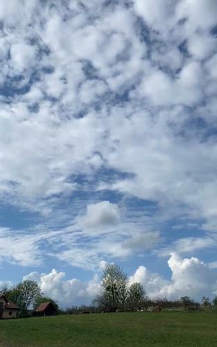 Agroturystyka Nad Jeziorem Silickim Ili?scy