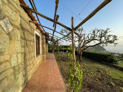 Villa Dei Barili - Natura&relax