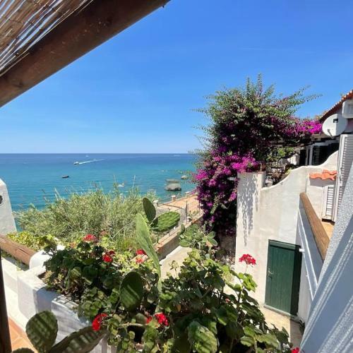 Sea -view Apartament Cava Dell?isola (forio)