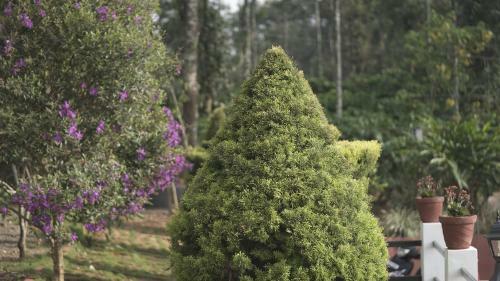 Villa Coffeeknolls By Lexstays Wayanad