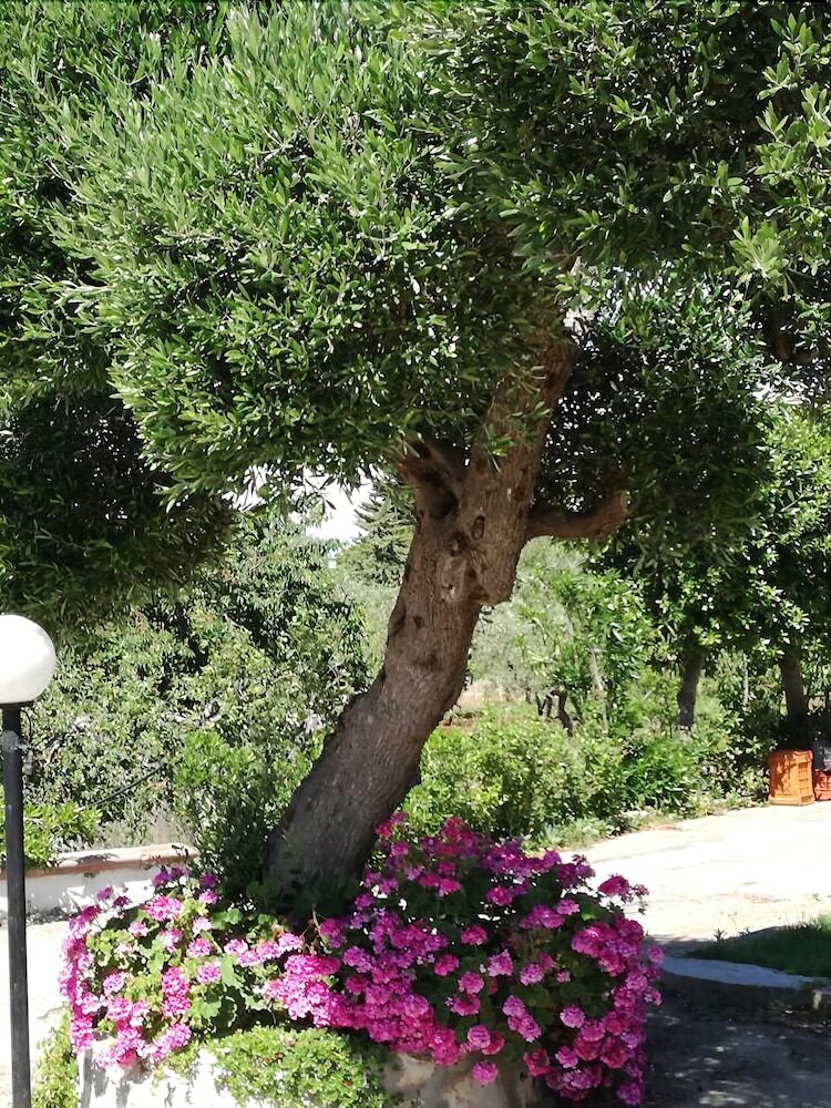 B&B Pietrafitta