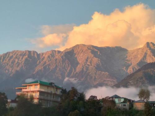 Marina Group Of Hotels Naddi