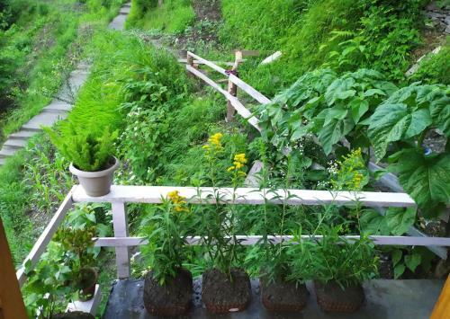 Hotel The Kanatal Valley Resort