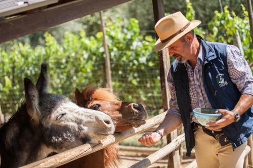Agroturismo Podere Il Poggiolo
