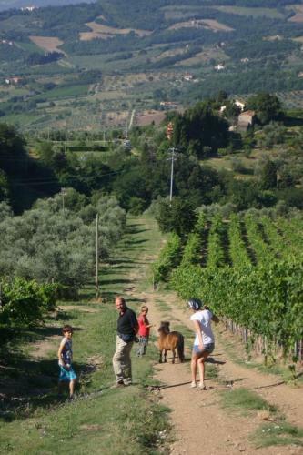 Agroturismo Podere Il Poggiolo