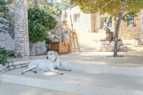 Bed & Breakfast La Casa Del Fico