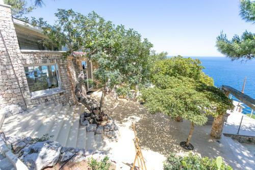 Bed & Breakfast La Casa Del Fico