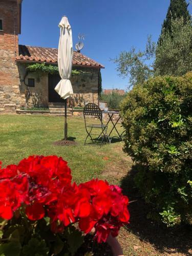 Castigliona Cetona Siena