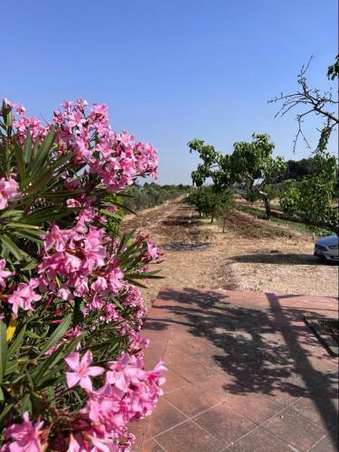 A 6 Km Da Porto Cesareo, La Casa Del Carrubo