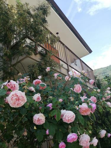Apartamento Appartamento Erica Alpe Adria