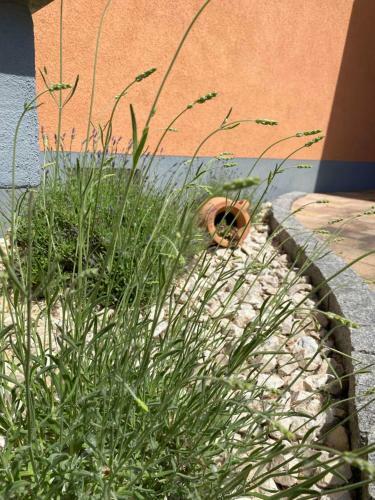 Apartamento Ferienwohnung Im Sand