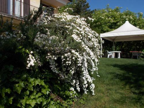 Montericco B&B