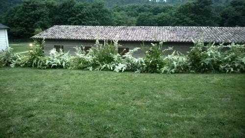 Agroturismo Agriturismo Monte Dell'olmo