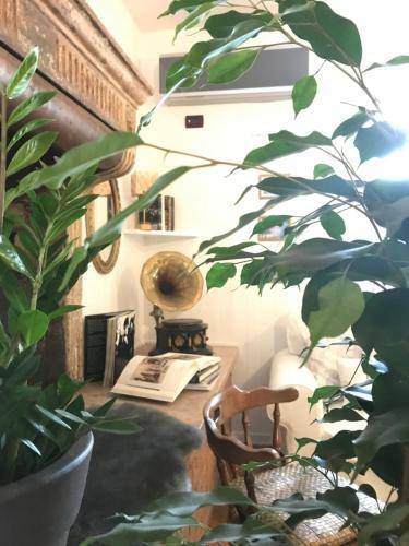 Bed & Breakfast Maison Fortune
