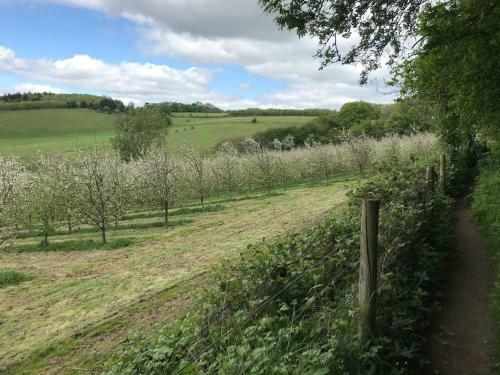 Woodcutters Barn For 2, Beautiful View, Ledbury