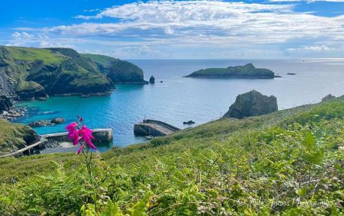 Lovely Holiday Home Nr Kynance Cove
