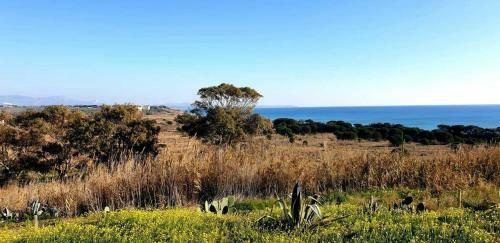 Apartamento La Barchetta Sul Mare