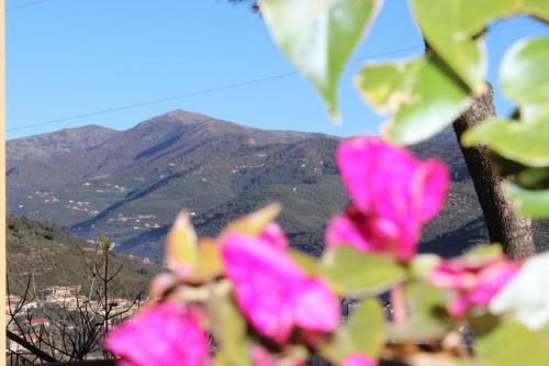 Apartamento Tenuta Domine