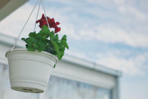 Bed & Breakfast Bagni Vittoria