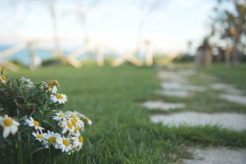 Bed & Breakfast Bagni Vittoria