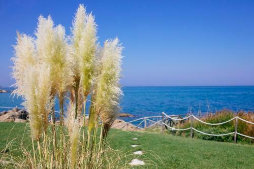 Bed & Breakfast Bagni Vittoria
