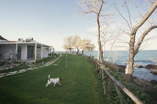 Bed & Breakfast Bagni Vittoria