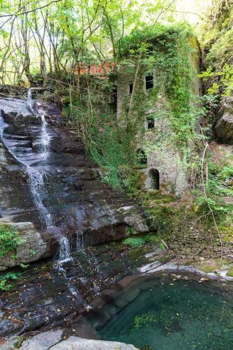 Single House In The Green Wild! Casa Karmel