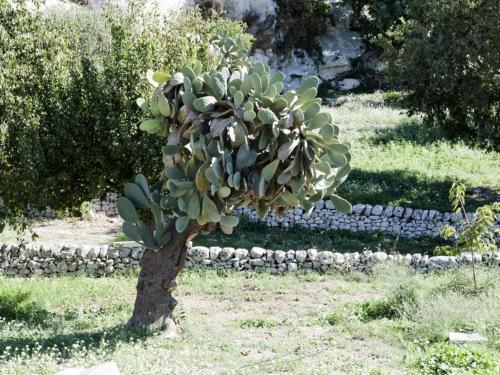 Appealing Holiday Home In Modica With Shared Garden