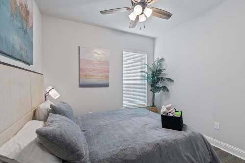 Modern Regional Art Gallery Home! - Spacious & New