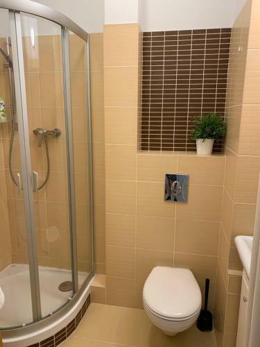 Apartamento Z?ota 81
