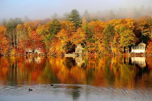 Waterfront Escape Kayak, Paddle Boards, Dock