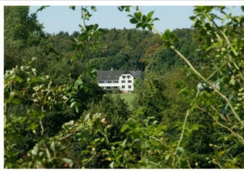 Aparthotel Entenkrug Am Norderteich