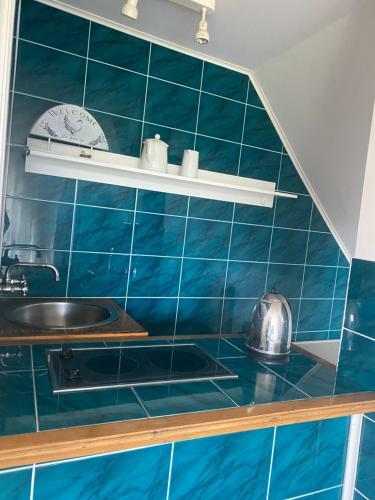 Apartamenty U Lisk�w W Centrum W?adys?awowa