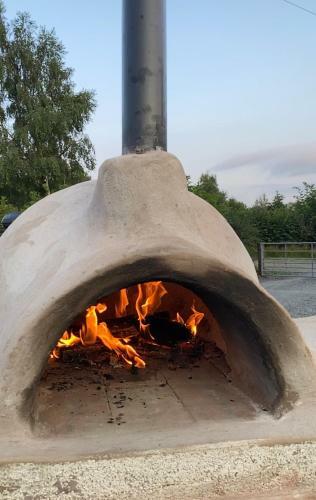 Daisy Bell Tent At Belan Bluebell Woods