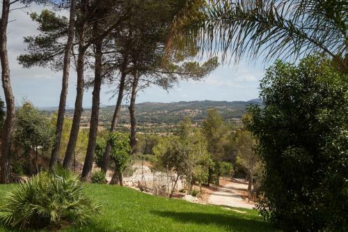 Villa Finca Es Foners