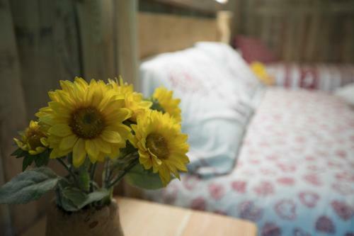 Agroturismo Agriturismo Alle Baite